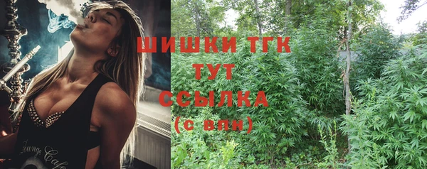 метадон Ельня