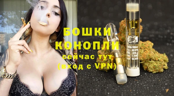 ALPHA-PVP Елизово