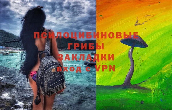 метадон Ельня