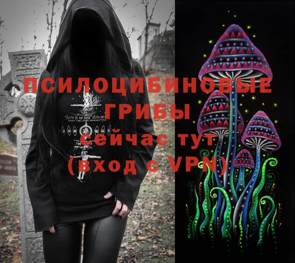 ALPHA-PVP Елизово