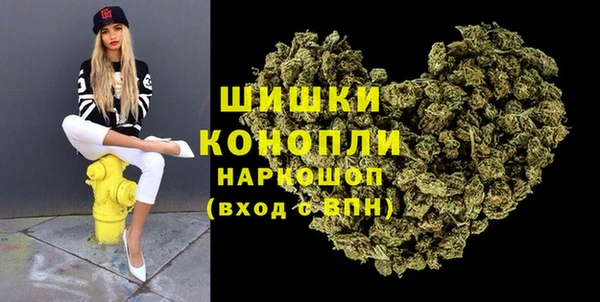 метадон Ельня