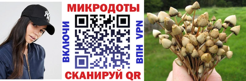 KRAKEN ссылки  нарко площадка как зайти  Галлюциногенные грибы GOLDEN TEACHER  Коломна 